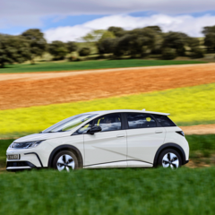 BYD Dolphin