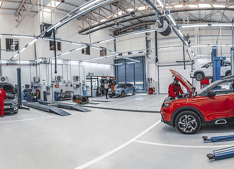 [Translate to Schwedisch:] 