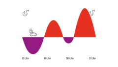 Grafik die die Netzauslastung im Laufe des Tages zeigt
